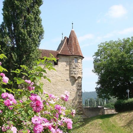 Weingut Gaestehaus Weigand Iphofen Esterno foto