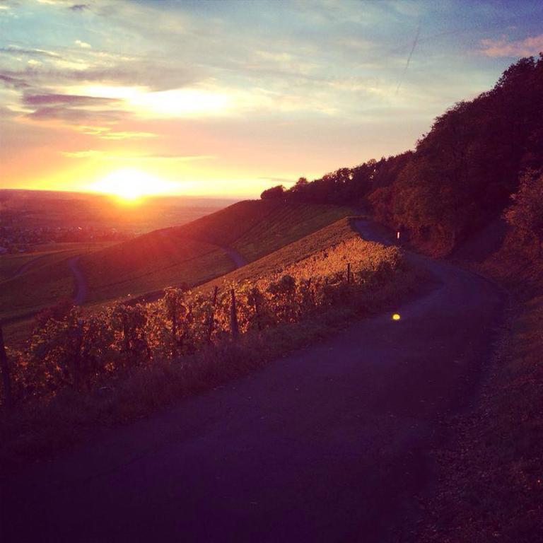 Weingut Gaestehaus Weigand Iphofen Esterno foto