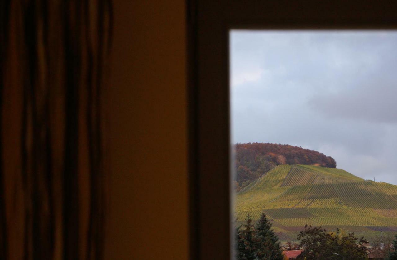 Weingut Gaestehaus Weigand Iphofen Esterno foto